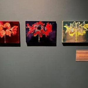 Expositie Villa Mondriaan beeldend kunstenaar Alexandra Meerdink 3