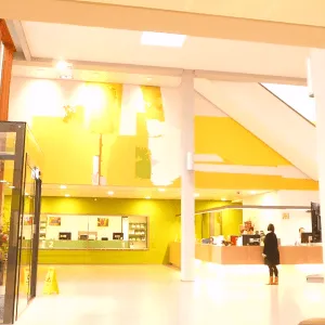 Kunstopdracht openbare ruimte Gemeentehuis Winterswijk door kunstenares Alexandra Meerdink