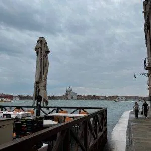 Biënnale Venetië, kunstenares Alexandra Meerdink