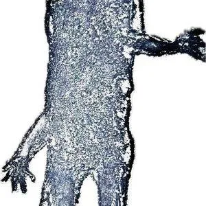 Figuur - Ets op koperplaat 3